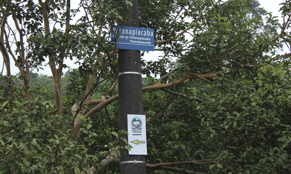 foto05