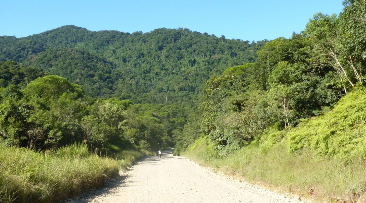 A trilha do Telégrafo – Acreditando em anjos A trilha do Telégrafo – Acreditando em anjos